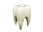 Enchimentos para cavidades dentais